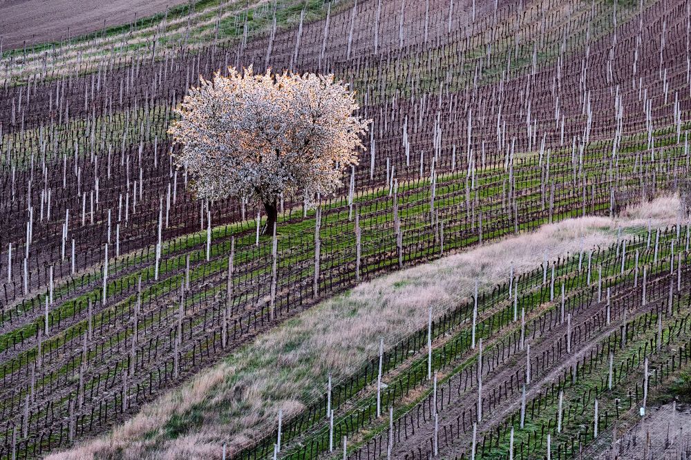 Photograph by Пётр Дедковский