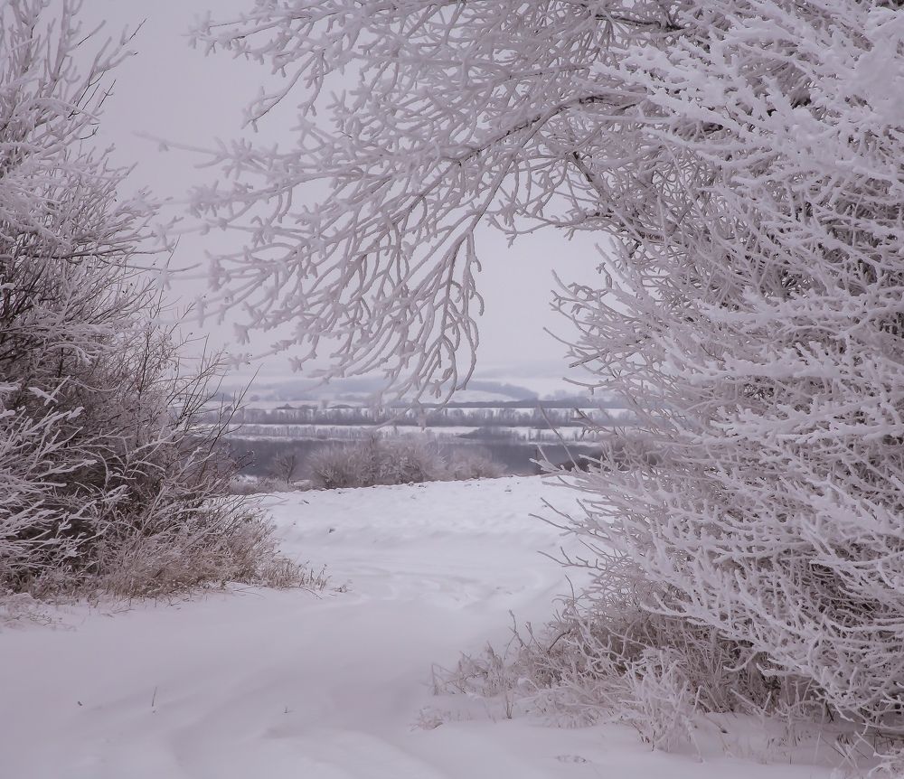 Снежная нежность