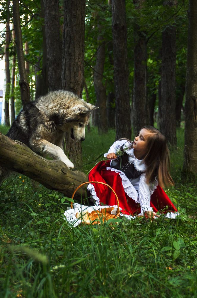 Красная шапочка