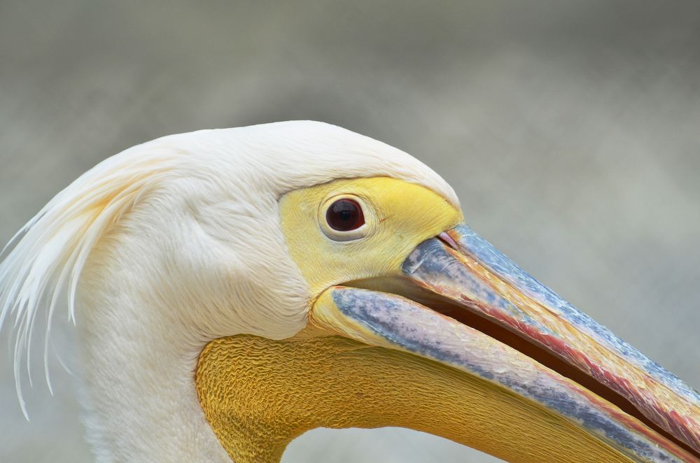 Photograph by Михаил Колтухов