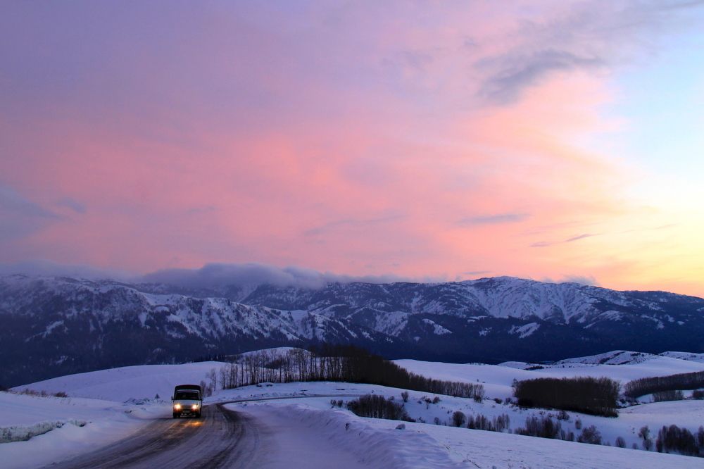 Холодный Белок