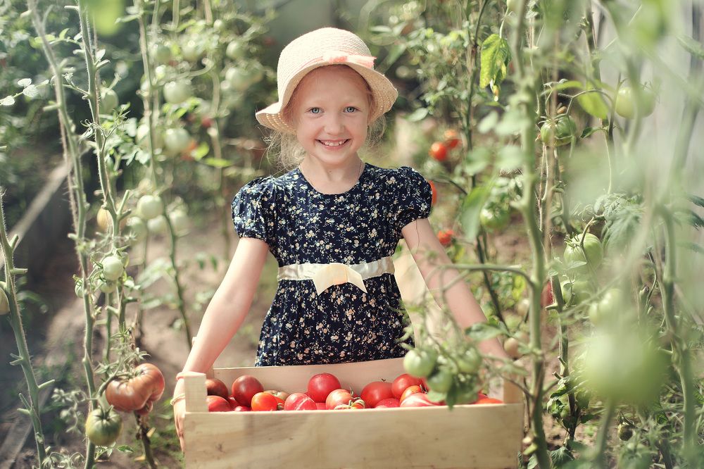 Photograph by nadegda sedinova