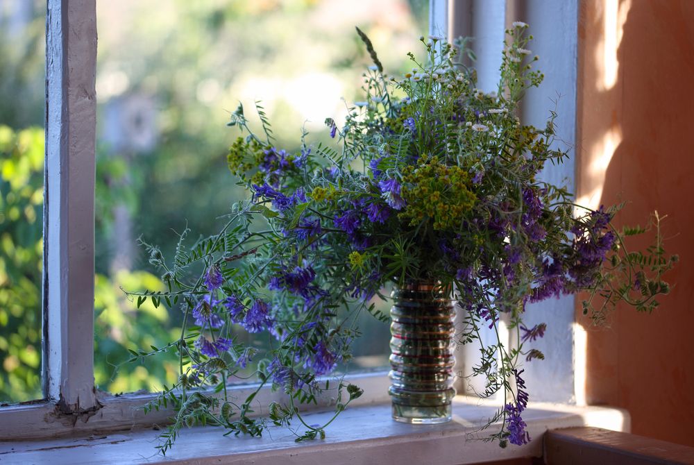 Photograph by Катерина Кубица