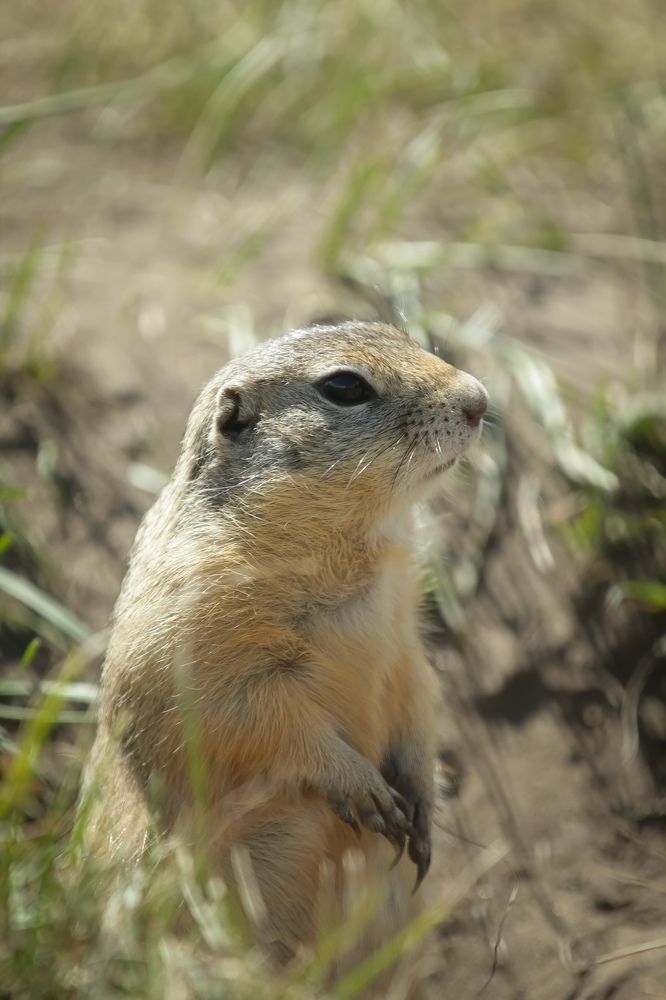 Photograph by Денис Бутин