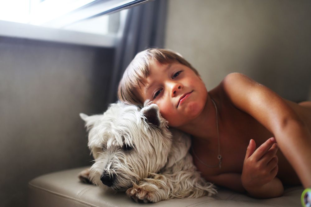 кривляшки-поваляшки