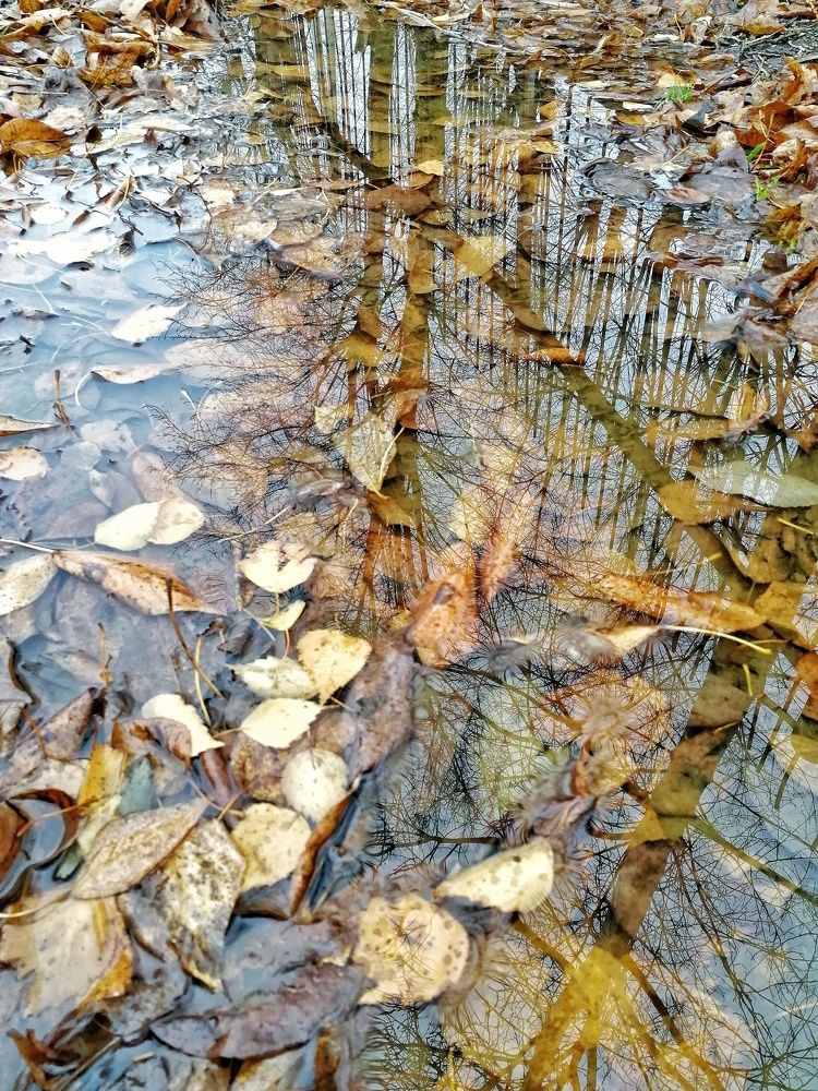 Отражение твоей души