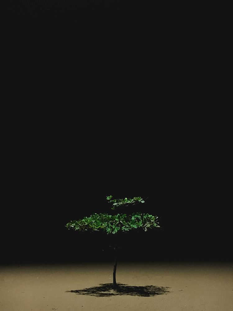 The Isolation, The Chaos