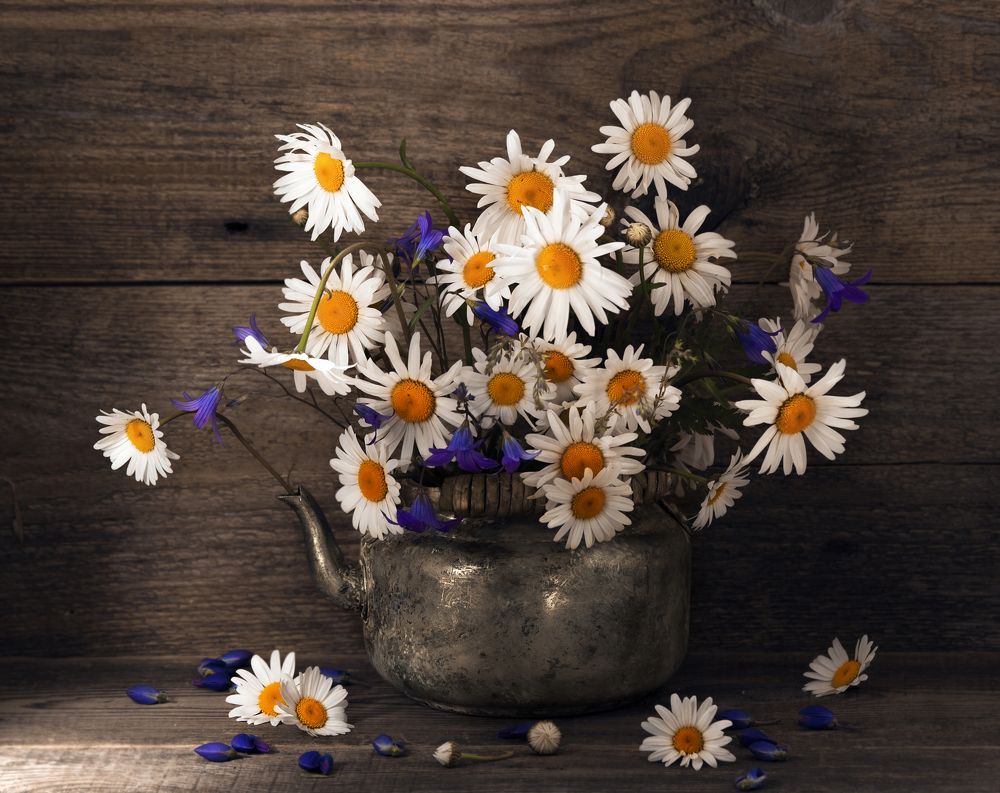 Ромашки в чайнике.