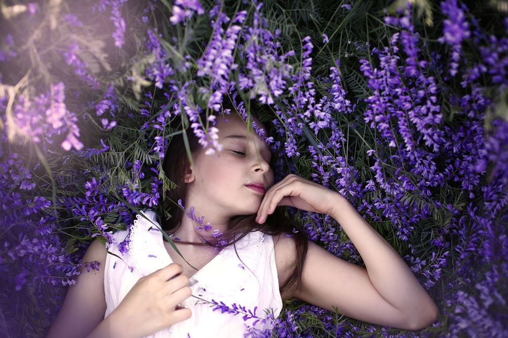 Сиреневые мечты