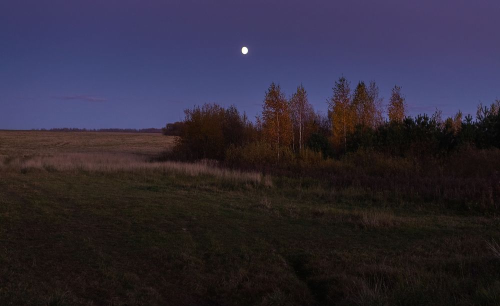 Осенние сумерки