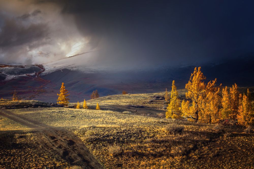 Волшебство света...