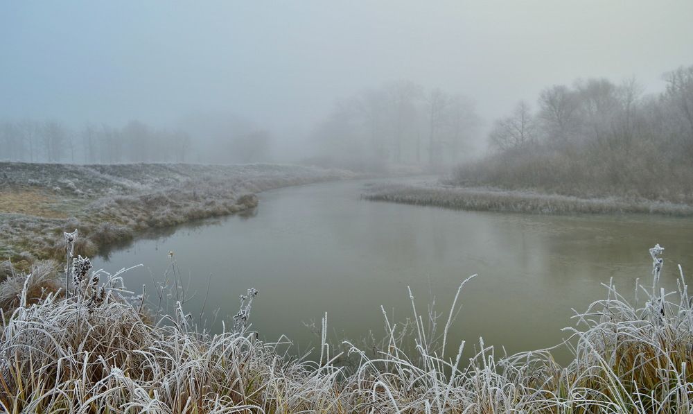 Ноябрьские туманы