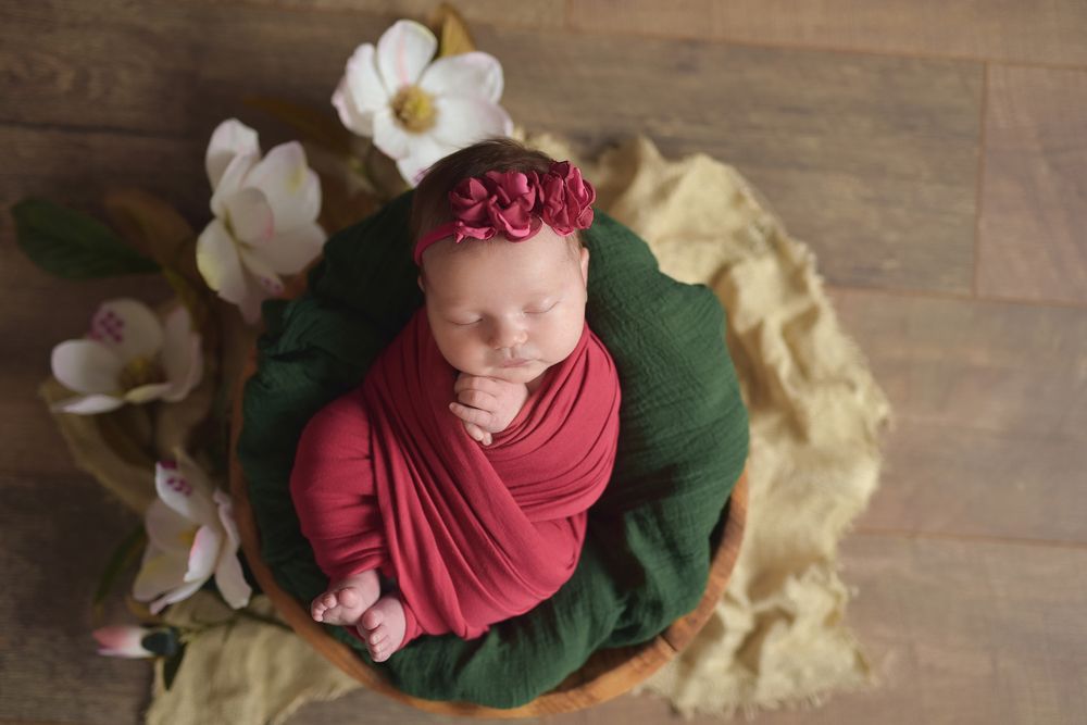 Вишневый сад