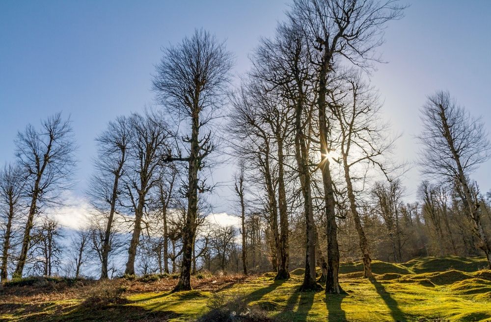 traveling photography