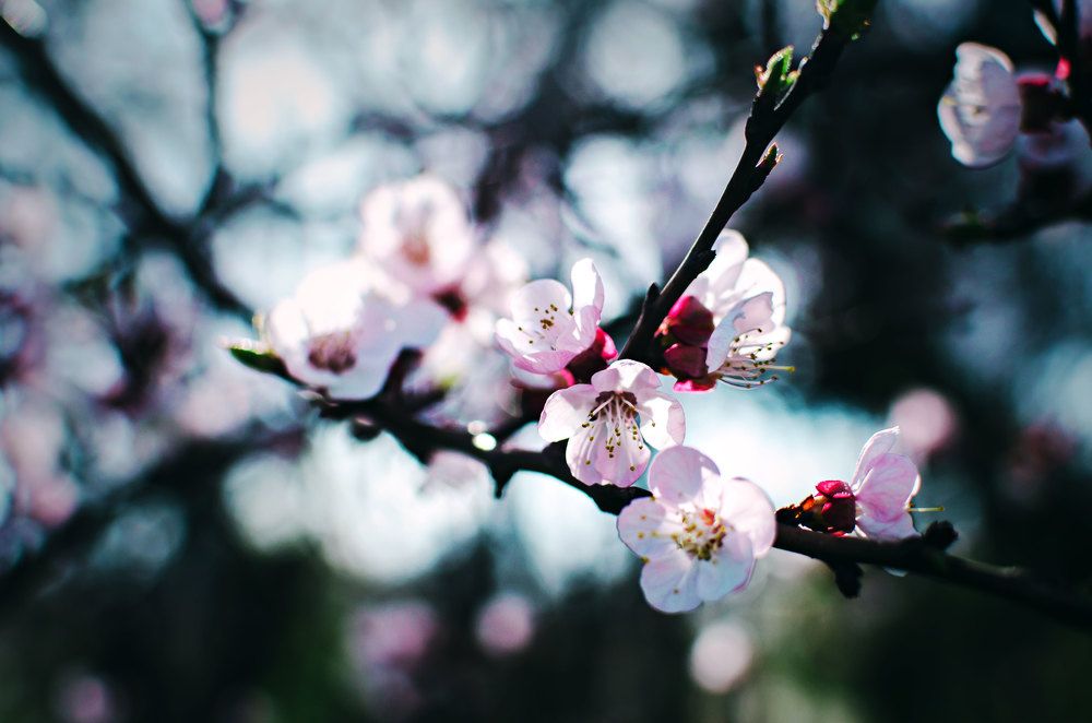 Photograph by Victor Lazutin