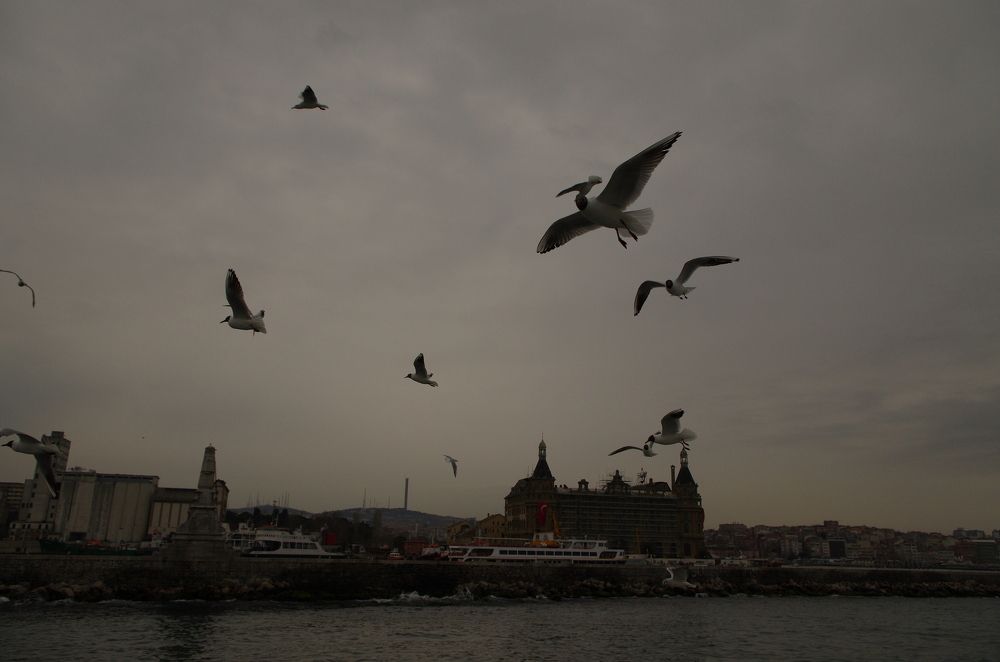 Photograph by Вячеслав Сачков