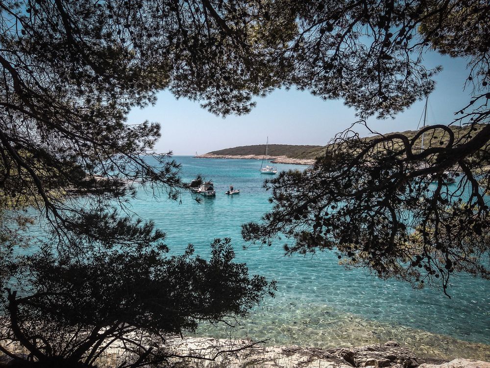 Photograph by Viktorija