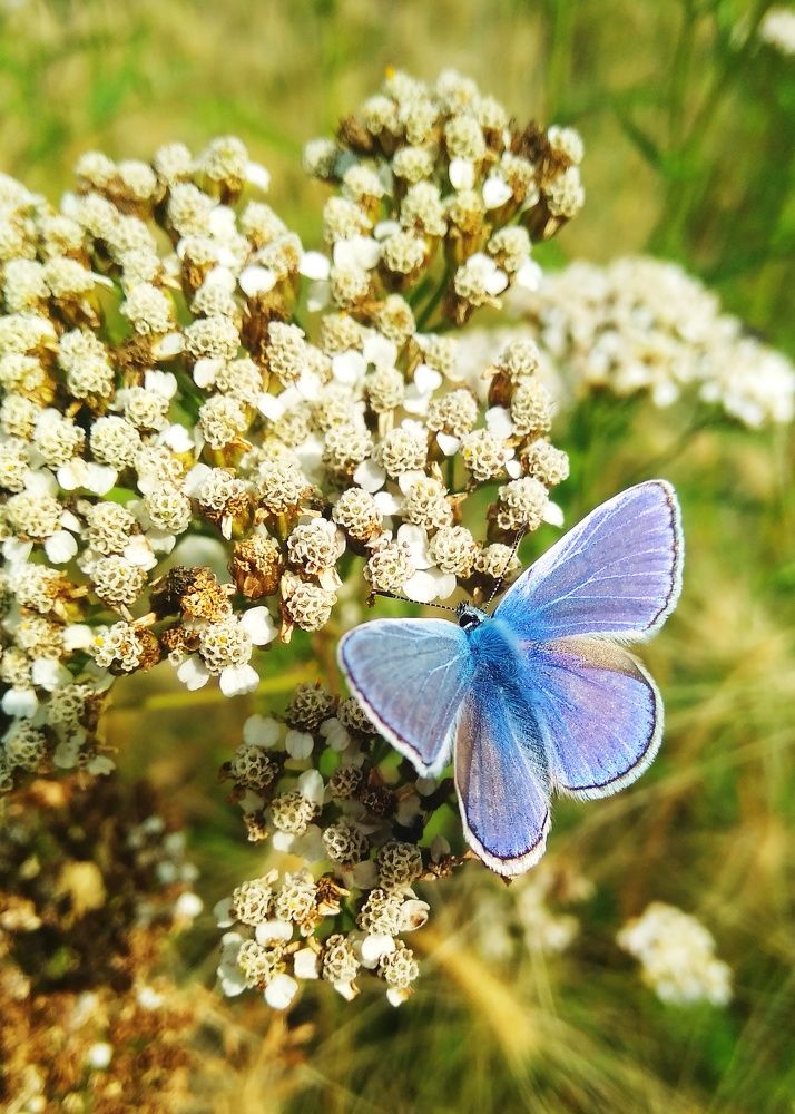 Photograph by Жданов Дмитрий