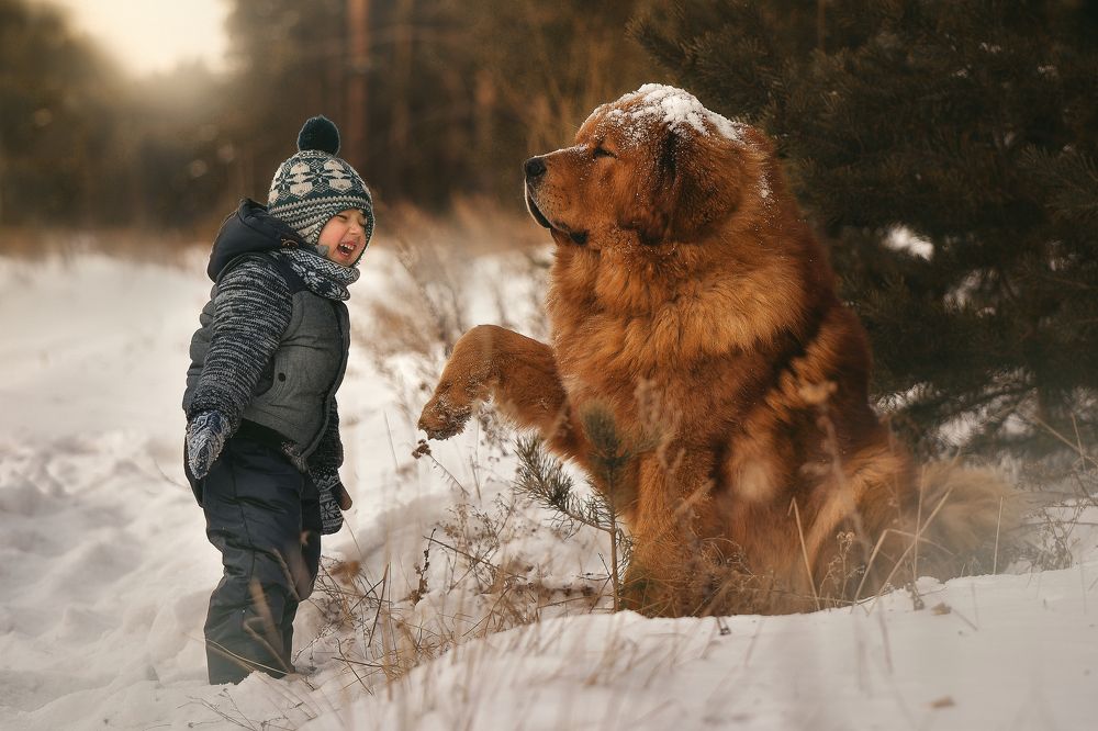 Фотография автора Татьяна Кам