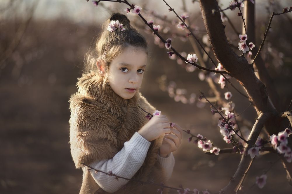 Персиковый сад