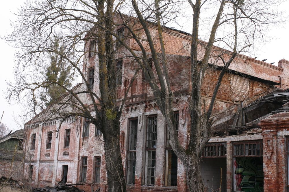 Photograph by Роман