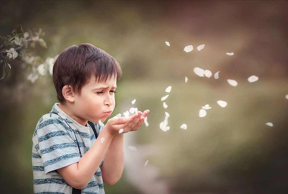 Весенний сад