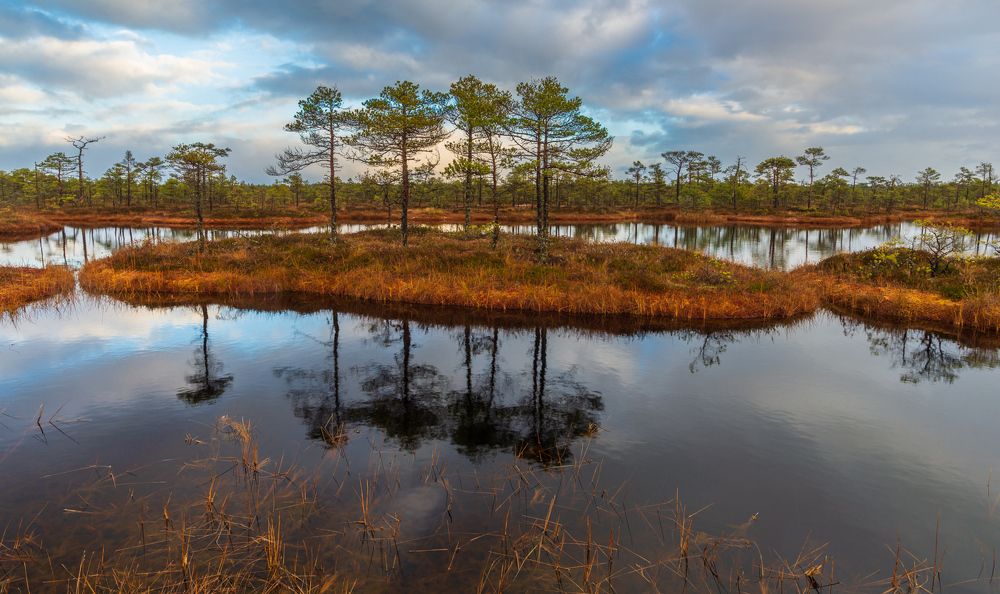 Photograph by Raigo Tõnisalu