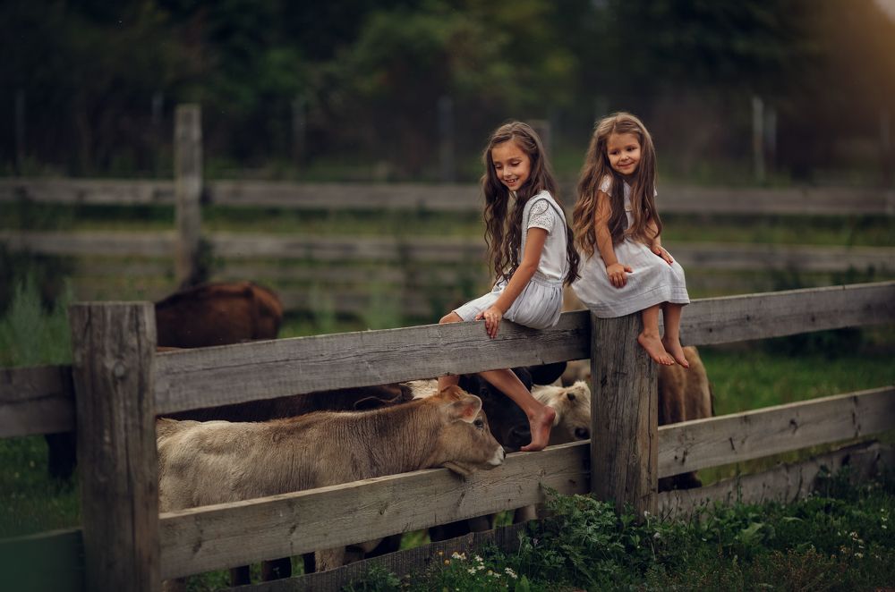 Photograph by Костюк Зоя