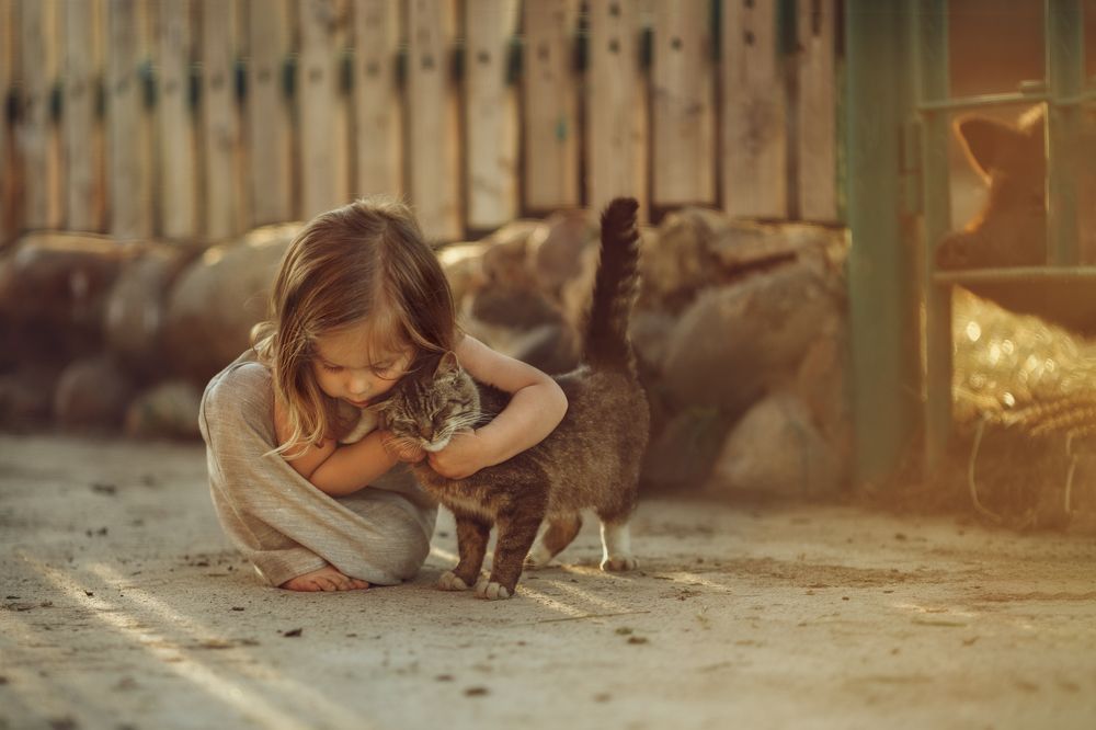 Photograph by Костюк Зоя