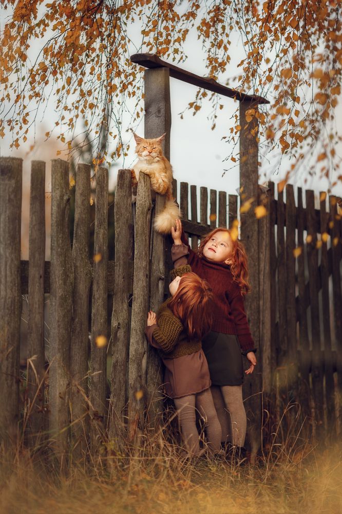 Photograph by Костюк Зоя