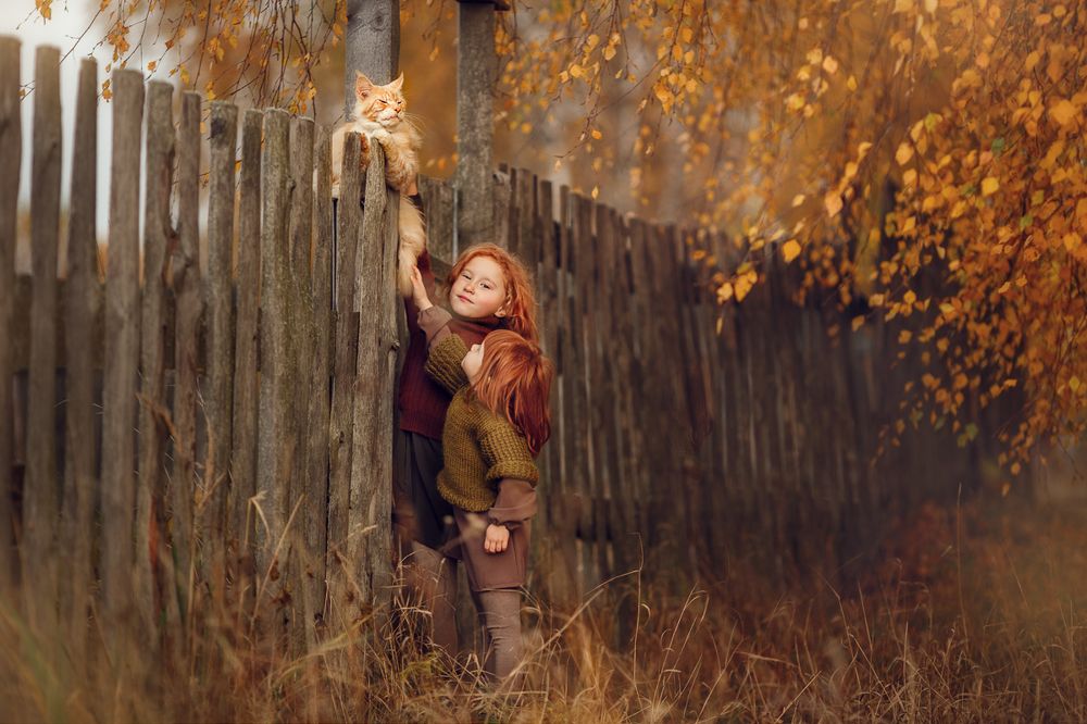 Photograph by Костюк Зоя