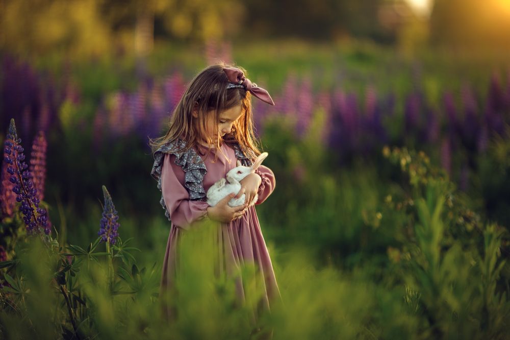 Photograph by Костюк Зоя