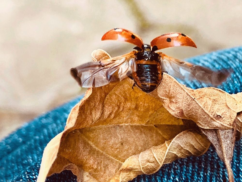 На взлёте...