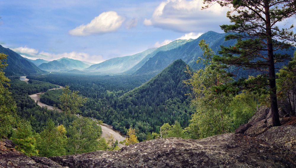 Фотография автора Степан Давыдов
