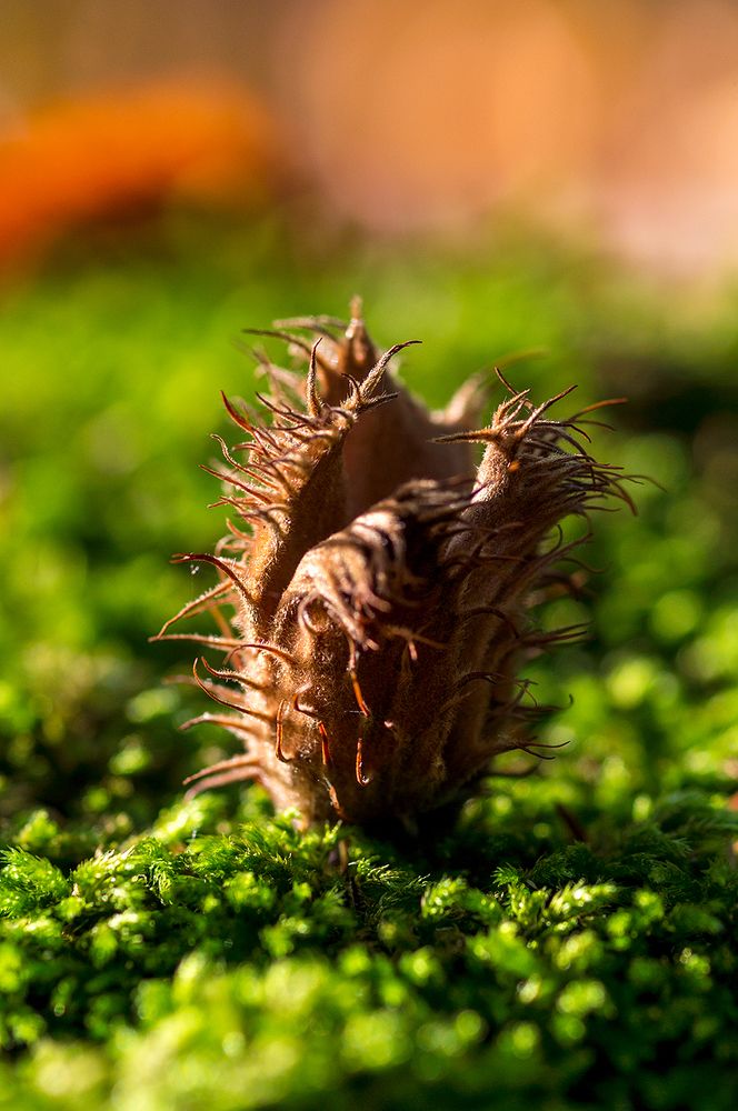 Photograph by Сергей Политыкин