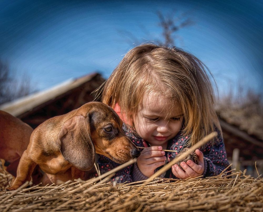 Best friends forever