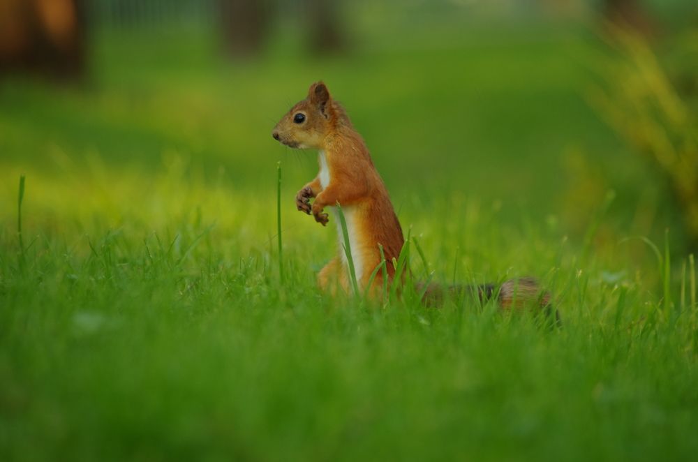 Photograph by Герман Локоцкий