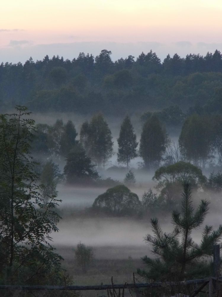 Сумрак и туман-трещина между мирами...