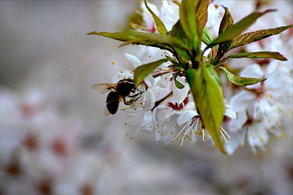 Photograph by Аннет