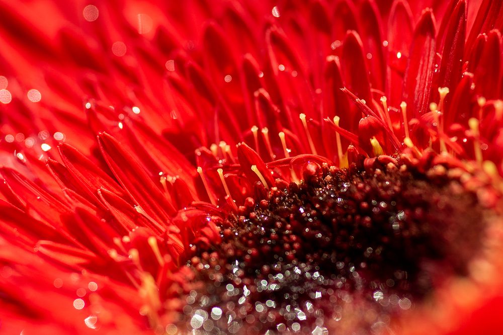 Photograph by Сергей Политыкин