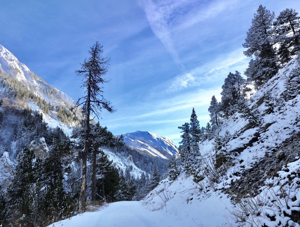 Зимний день