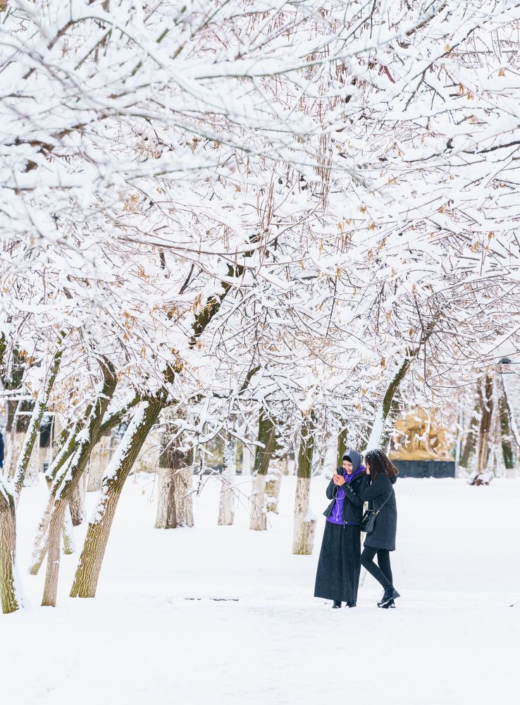 Photograph by Максим Рожин