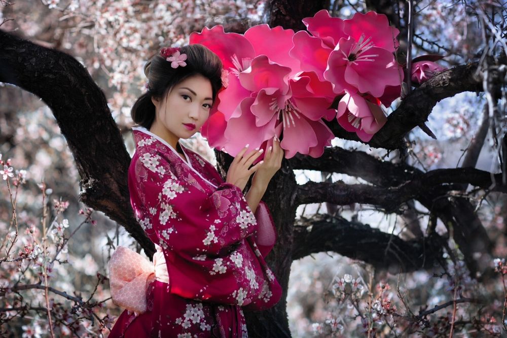 Цветение сакуры