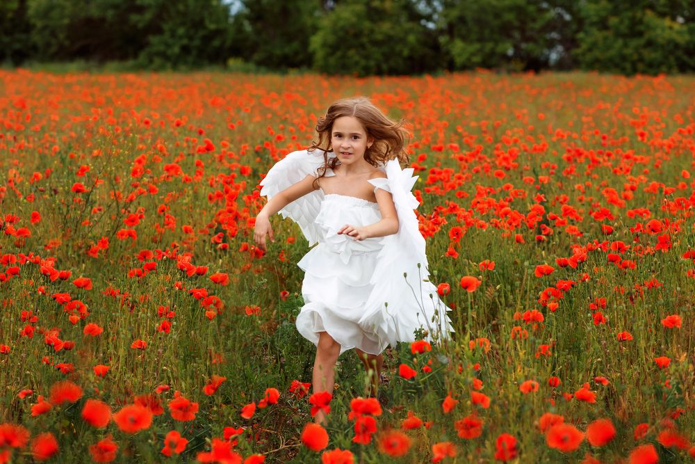 Маковое поле!