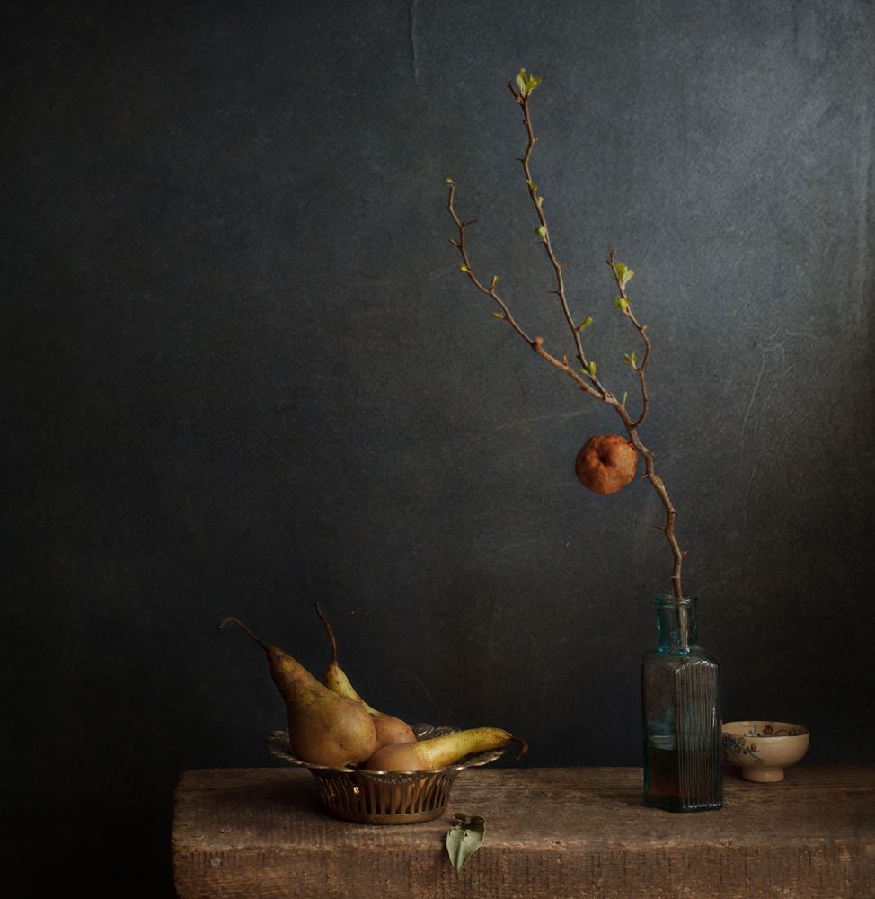 груши и весенняя веточка айвы