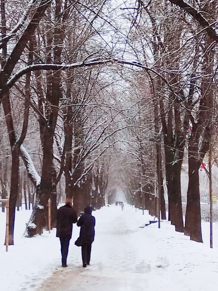 Дорогу осилит идущий. Viam supervadet vadens
