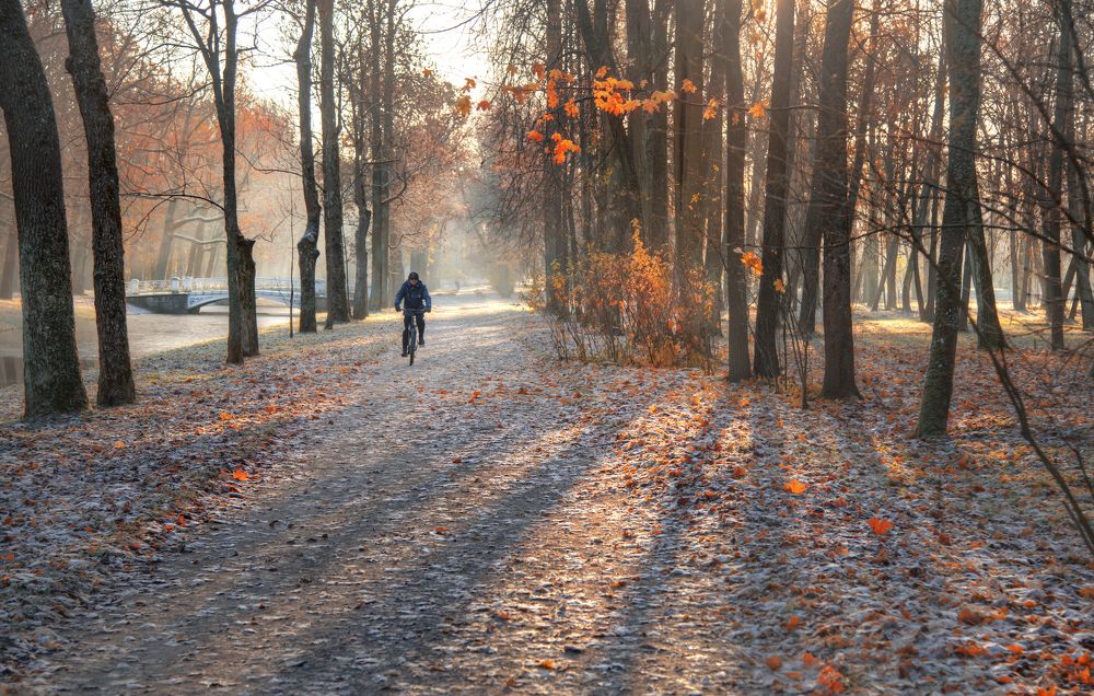 Я буду долго гнать велосипед