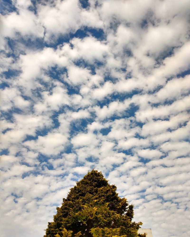 Céu