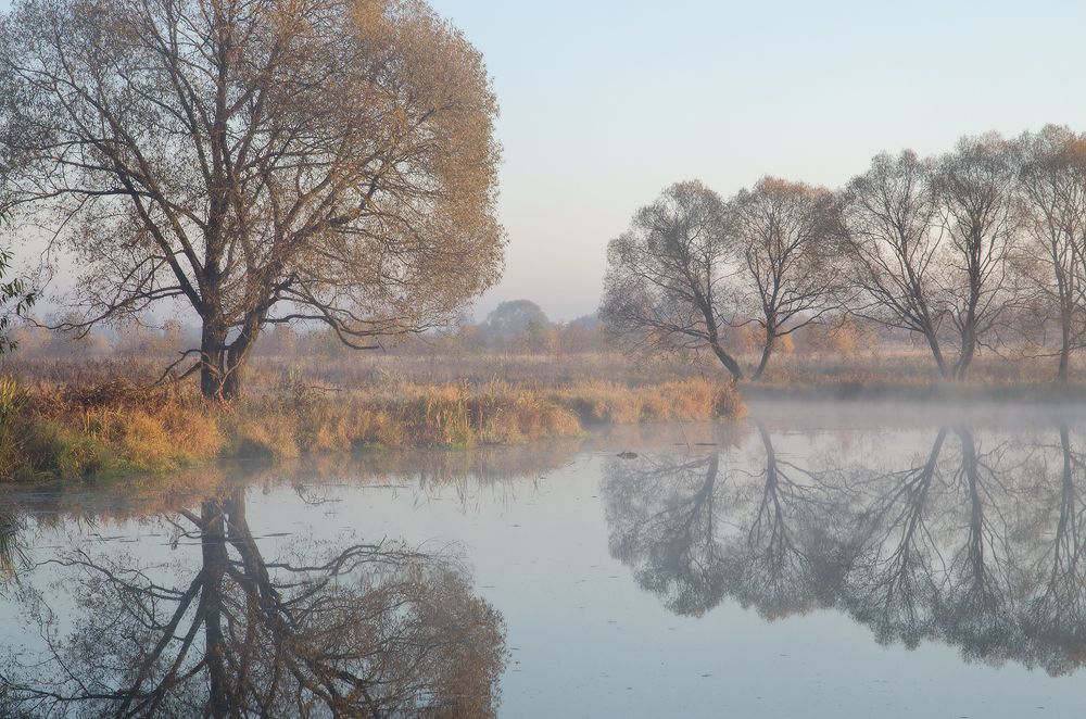 время урожая