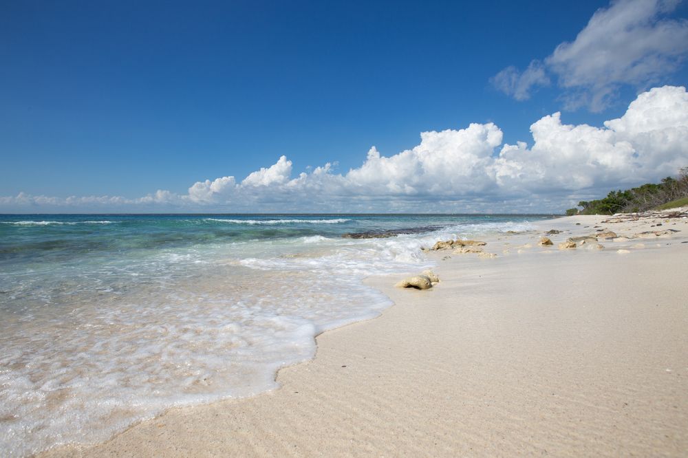 Под шум волн